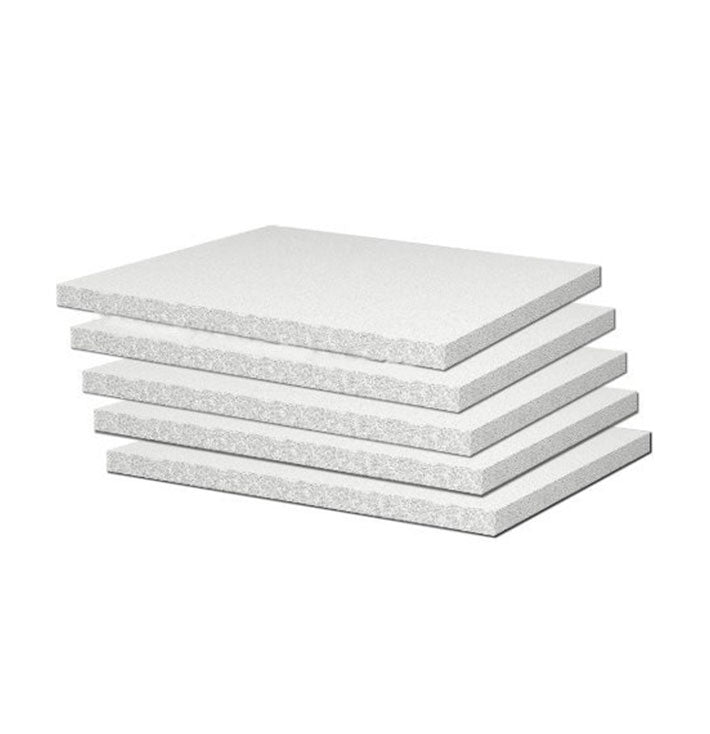 IQAir PF40 Coarse Dust Filter Pads (5 pieces)