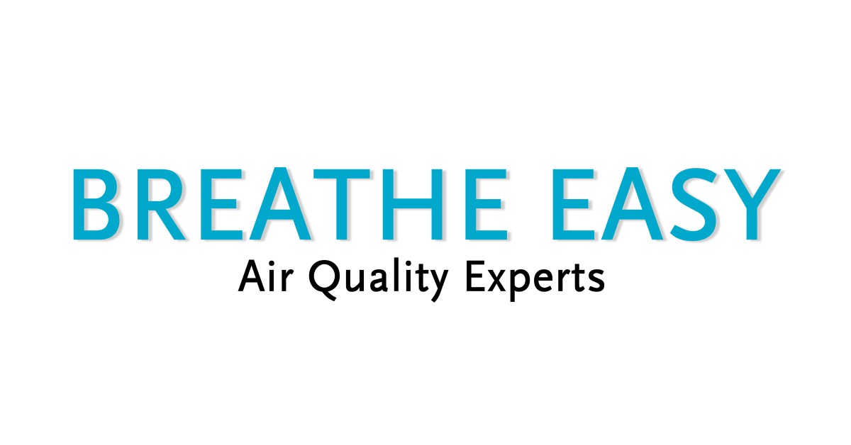 Best Air Purifier for Home in India 2025 | Breathe Easy Labs ...