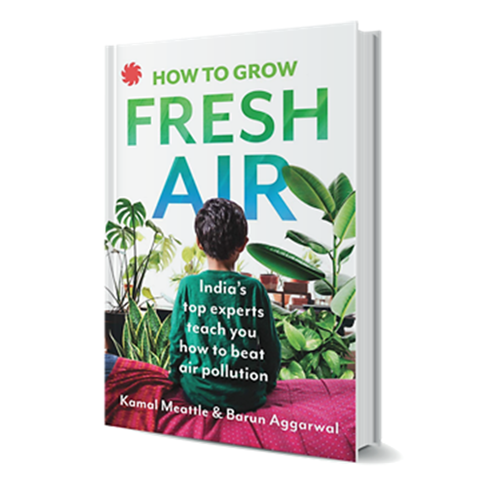 How to Grow Fresh Air